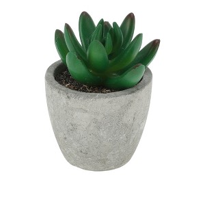 Unique Bargains Artificial Plants Large Mini Pulp with Cactus Finger Plastic 2.36"x2.36"x3.35" 1 Pc - 1 of 4