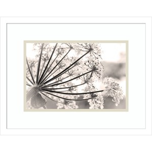 18" x 14" Floral Cow Parsnip by Jaynes Gallery Danita Delimont Framed Wall Art Print - Amanti Art: Handmade in USA, Botanical Decor - 1 of 4
