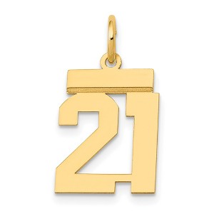 Black Bow Jewelry 14k Yellow Gold, Athletic Collection, Small Polished Number 21 Pendant - 1 of 4