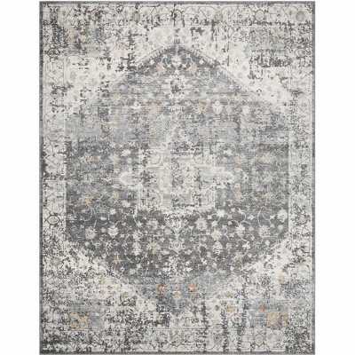 Hauteloom Mansi Distressed Gray Area Rug