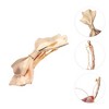 Unique Bargains Elegant Bow Hair Clips Gold Tone 1 Pc - 3 of 4
