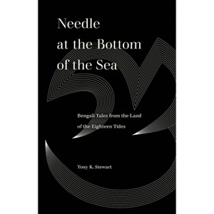 Needle at the Bottom of the Sea - (World Literature in Translation) by  Tony K Stewart (Paperback) - 1 of 1