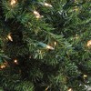 Northlight 3' Prelit Artificial Christmas Tree Canadian Pine - Clear Lights - 3 of 4