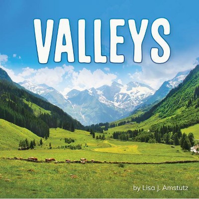 Valleys - (Earth's Landforms) by  Lisa J Amstutz (Paperback)