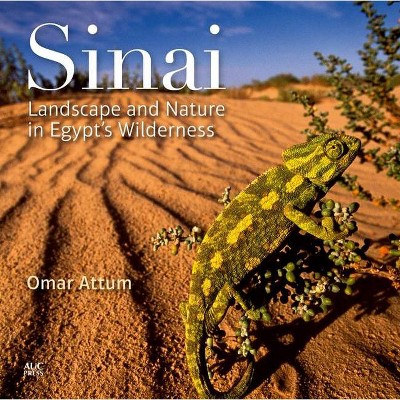 Sinai - by  Omar Attum (Hardcover)