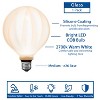 Festive Living G125 + LED Filament Outdoor Covered Patio Pendent Edison Replacement Bulbs, Warm White 2700K, E26 Medium Base - 2 of 4