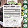 Why Not Natural Liquid Iron Supplement for Adults & Kids – Vegan, Non-GMO, Sugar-Free Formula for Anemia, with Organic Blackberry Flavor, 16 fl oz - 3 of 4