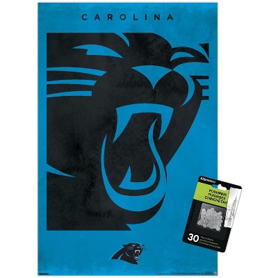 clear push pins bundle