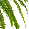 Vickerman Green Artificial Boston Fern Bush - 2 of 3