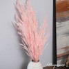 Uniquewise Preserved Real Floral Stems Chic Vase Fillers & Accents for Bouquets Centerpieces - 4 of 4