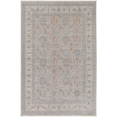 Marquette Transitional Oriental Area Rug