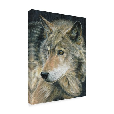 Trademark Fine Art -Carla Kurt 'Curious Eyes' Canvas Art