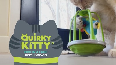 Quirky Kitty Real Bird Sound Tippy Toucan Caged Critter Cat Toy - Green :  Target