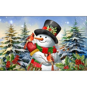 Briarwood Lane Winter Doormat 30x18 Indoor Outdoor Winter Friends For Winter Doormat - 1 of 4