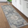 Acekool 2x6 Washable Runner Rug - Non-Slip Entryway Carpet, Low-Pile Grey Indoor Mat for Hallway, Kitchen, Laundry Room - 2 of 2