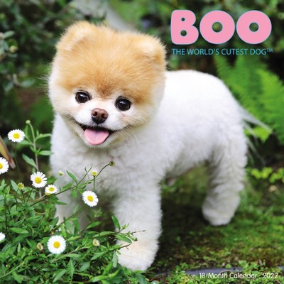 2022 Wall Calendar Boo - Calendar Ink