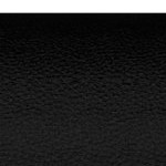 michigan state spartans