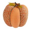 Northlight Autumn Harvest Textured Thanksgiving Pumpkin - 8.5" - Orange - 4 of 4