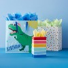 20ct Banded Tissue Blue/Green/Yellow - Spritz™ - 2 of 3