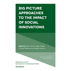 Big Picture Approaches to the Impact of Social Innovations - (Research in the Sociology of Organizations) (Hardcover) - 1 of 1