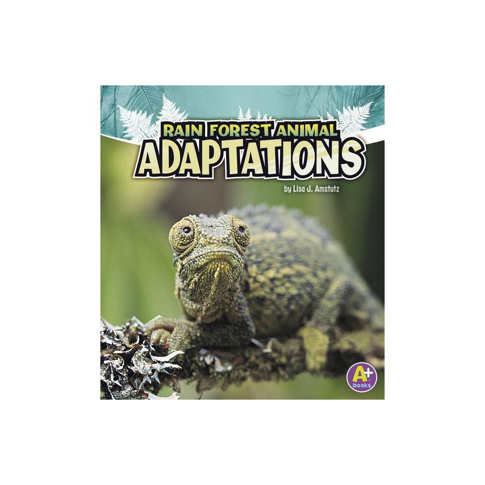 Rain Forest Animal Adaptations - (Amazing Animal Adaptations) by Lisa J Amstutz (Paperback)