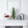 HomeStock  2.25 ft. Artificial Tree in Planter for Indoor/Outdoor - 4 of 4