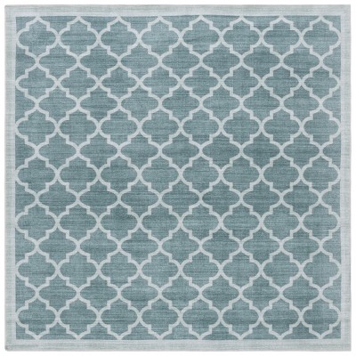Arizona ARZ172 Power Loomed Indoor Machine Washable Rug - Safavieh