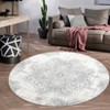 Area Rug Vintage Medallion Machine Washable Rugs Non Slip Non Shedding Distressed Printed Low Pile Foldable Carpet for Bedroom Living Room Playroom - 2 of 4