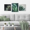 23" x 23" Warrior Succulent by Emiko and Mark Franzen of F2 Images Unframed Wall Canvas - Kate & Laurel All Things Decor - 4 of 4