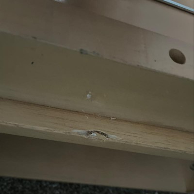 Guest review image 2 of 2, zoom in