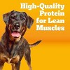Pedigree Roasted Chicken, Grain and Vegetable Flavor Dry Dog Food - 14lbs - 3 of 4