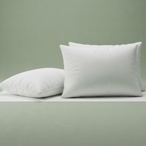 Economical Hotel Pillows with Synthetic Down By Rifz Textiles - 1 of 4
