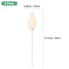 Unique Bargains Dried Natural Boho Palm Leaf Bulk - 3 of 4