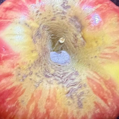 Guest review image 1 of 5, zoom in