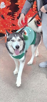 Guest review image 1 of 1, zoom in