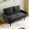 56" Velvet European Style 2-Seater Loveseat Sofa for Living Room, Apartment or Office with Sleek Design, Modern Vintage Flair - 2 of 4