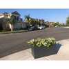 Rosemead Home & Garden, Inc. 12" Wide Kante Elegant Rectangular Concrete/Fiberglass Indoor Outdoor Planter Box Charcoal Gray - 3 of 4