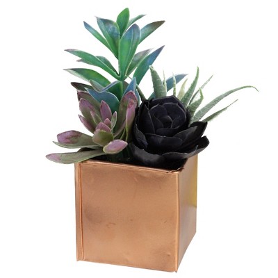 Northlight 7" Mixed Succulent Artificial Potted Arrangement - Green/Black