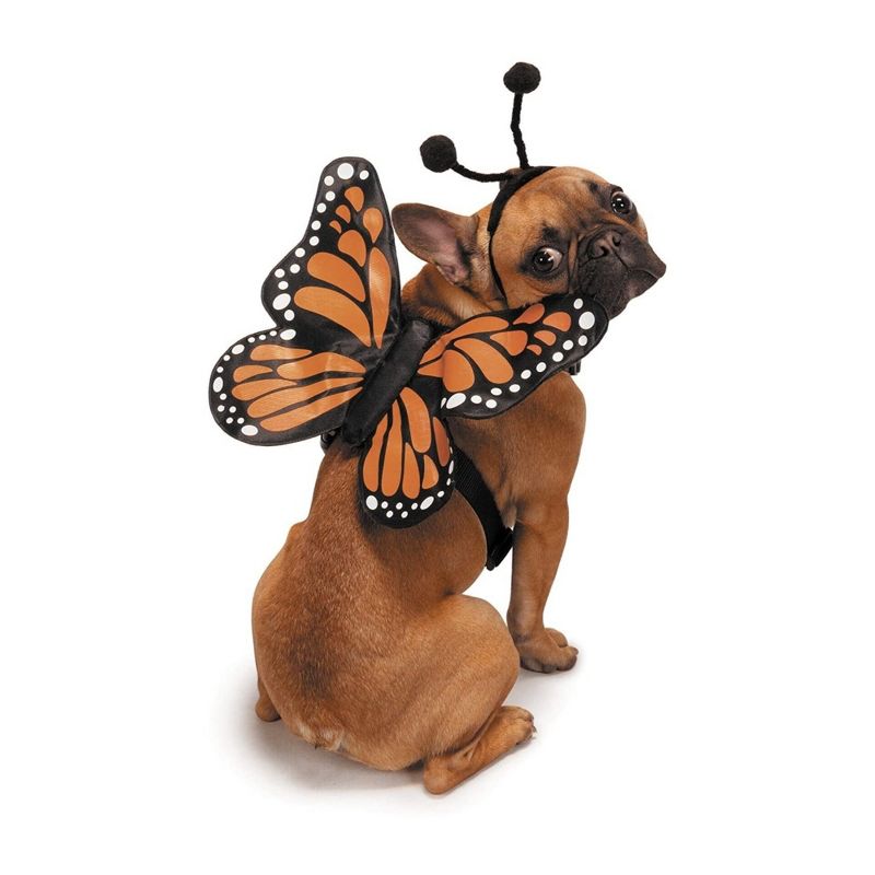 Zack & Zoey Butterfly Glow Harness Costume for Dogs, 1 of 6