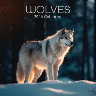 The Gifted Stationery 2025 Square Wall Calendar, Wolves, 16-Month Animals Theme with 180 Reminder Stickers (12 x 12 In)