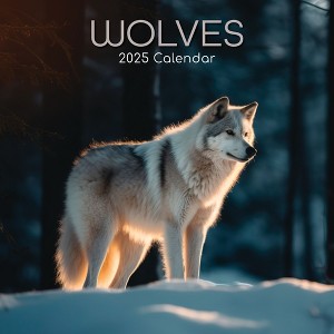 The Gifted Stationery 2025 Square Wall Calendar, Wolves, 16-Month Animals Theme with 180 Reminder Stickers (12 x 12 In) - 1 of 4
