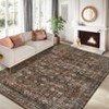Machine Washable Soft Indoor Area Rugs Vintage Low Pile Non Slip Carpet for Bedroom Living Room Decor Bedside Bathroom Floor Mat - 4 of 4