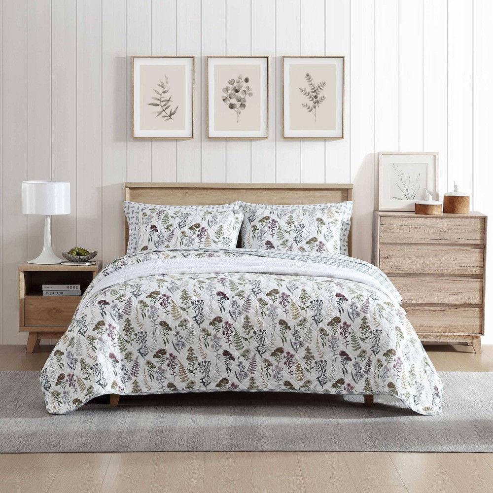 Photos - Bed Linen Eddie Bauer Full/Queen Flower Field 100 Cotton Quilt Set Green 