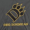 Ohio Dominican University Official Distressed Primary Logo Adult Pull-Over Hoodie - 2 of 4