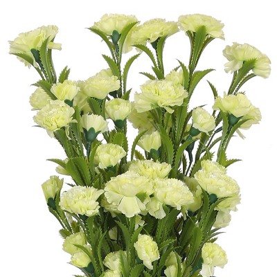 REGALWOVEN Simulation Artificial Home Decoration Carnation Flowers 32.6" 6 Pcs
