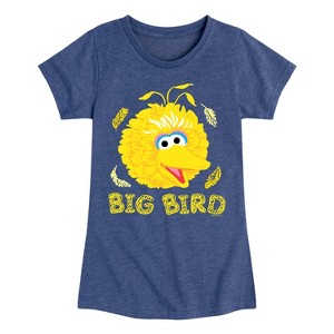 Girls' - Sesame Street - Big Bird Face Fitted Short Sleeve Graphic T-Shirt - 1 of 4