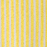 primrose yellow pop stripe