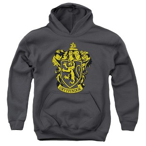 Boys’ Harry Potter Gryffindor Crest Hooded Sweatshirt - 1 of 4