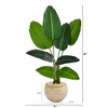 Nearly Natural 45-in Travelers Palm Artificial Tree in Sand Colored Planter - 2 of 3