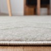 Adirondack ADR251 Non-Shedding Power Loomed Indoor Rugs - Safavieh - 4 of 4